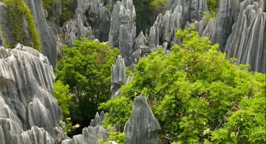 Naigu Stone Forest of Kunming